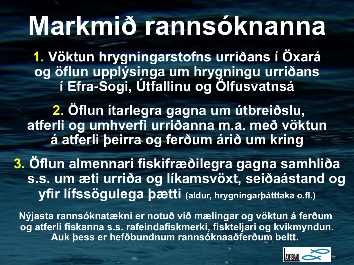 1_thingvallaurridi_rannsoknir_markmid-oxara_thingvallavatn_research_aims_brown_trout-copyright-js_laxfiskar.is