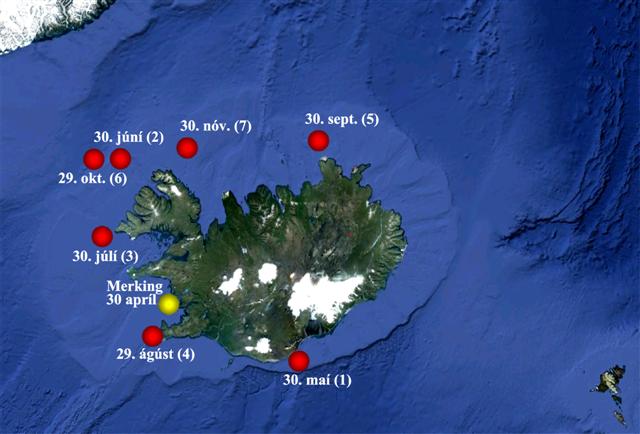 PSAT Tags Pop-Up for Cod 1-7 Icelandic research Laxfiskar 2012