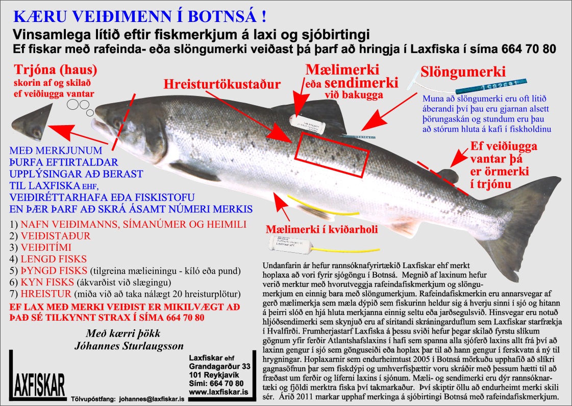 Lax-Birtingur-Fiskmerki-Botnsa-Laxfiskar-ehf-Salmon-Sea-trout-Data-storage-tags-DSTs