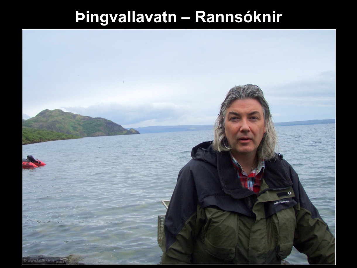 17_thingvallaurridi_rannsoknir_lake_thingvallavatn_research_study_brown_trout-copyright-laxfiskar.is