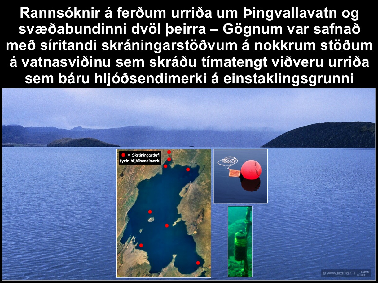 18_thingvallaurridi_rannsokn_thingvallavatn_migration_study_aqoustic_tag_vr_receivers_brown_trout-copyright-laxfiskar.is