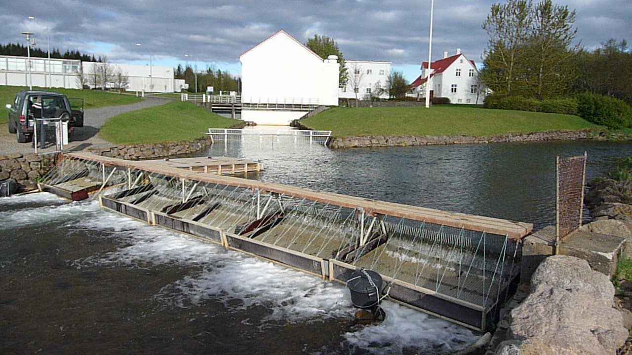 Seiðagildra og fiskteljari - Elliðaár í Reykjavík