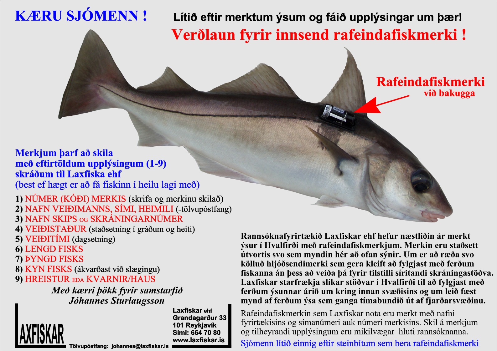 YSA-Fiskmerki-Rafeindafiskmerki-Laxfiskar-ehf-Haddock-fish-tag-ultrasonic-tag